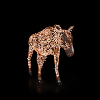 Mrs. Moose