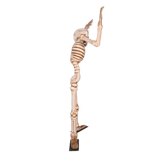 Skeleton Head Tilt 7ft