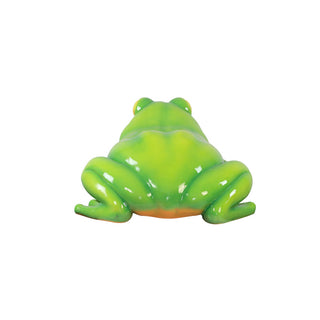 Oranged-Eyed Tree Frog