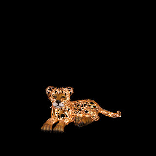 Lion Cub Laying