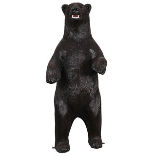 American Black Bear, Standing