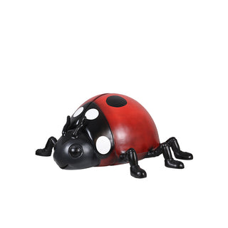 Lady bug