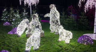 Polar Bear Paps