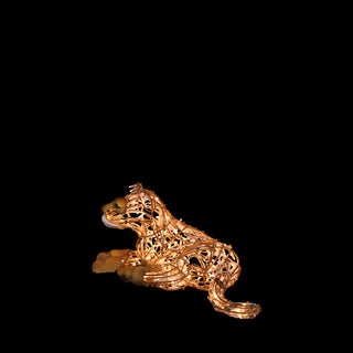 Lion Cub Laying