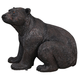 American Black Bear, Sitting