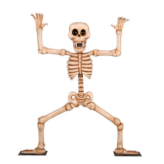 Skeleton Squating 7ft