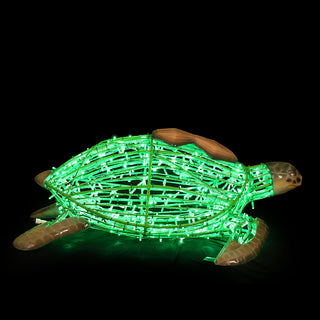 Turtle Standing