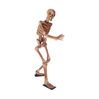 Skeleton 180 "Running"