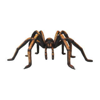 Recluse Spider Black