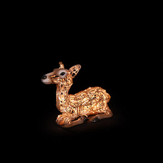 Deer Fawn laying