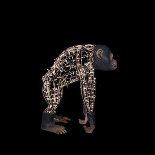 Monkey Dad