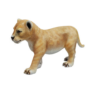 Lion Cub