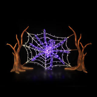 Spider Web And Spider (purple)