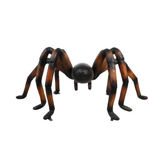Recluse Spider Brown