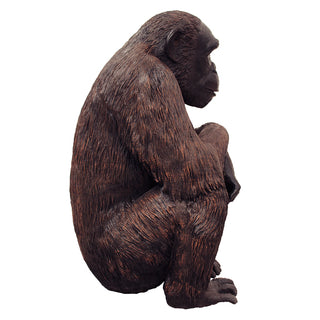 Sitting Chimpanzee