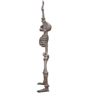 Skeleton 3,5m "Happy"