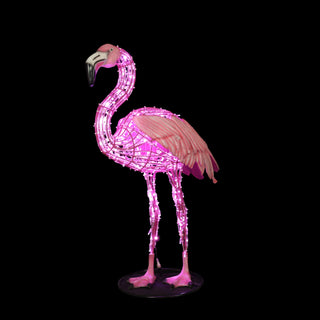 FLAMINGO STANDING
