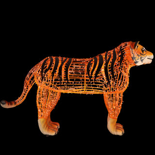 Tiger Standing