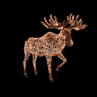 Mr. Moose