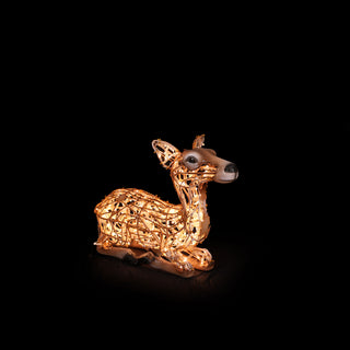 Deer Fawn laying