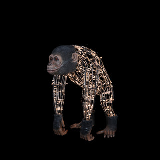 Monkey Dad
