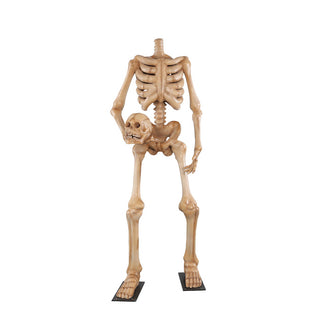 Skeleton 180 "headless"